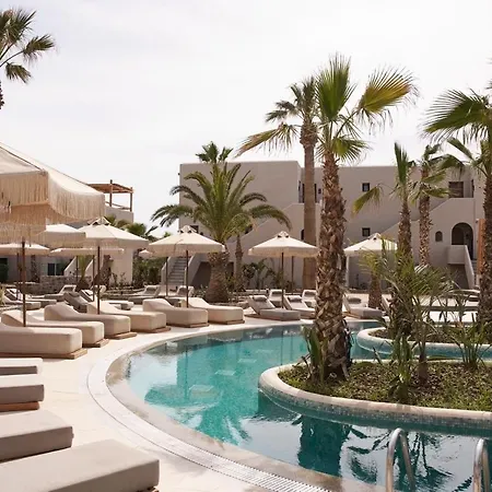 Stella Blue Seaside 헐소니소스